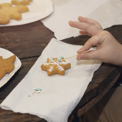 Cookie Decorating Workshops