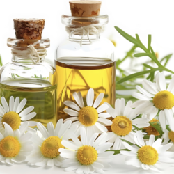 Essential Oils & Aromatherapy Products