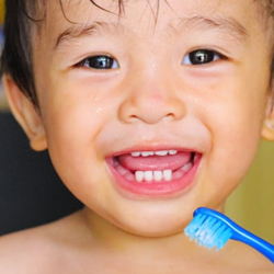 Early Dental Care 