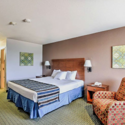 Comfortable Guest Rooms