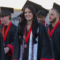 Advanced Placement (AP) and Honors Programs