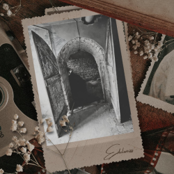 Photography Sessions