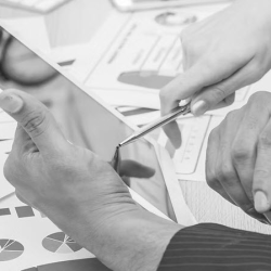 Business Development