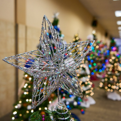 Festival of Trees