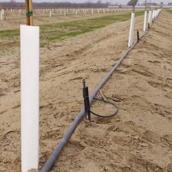 Irrigation Systems