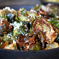 Small Plates