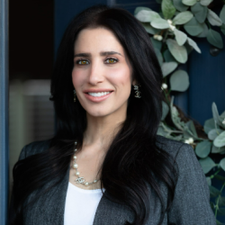 Negotiation Expertise