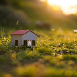 Land Sales and Acquisition