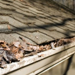 Gutter Cleaning