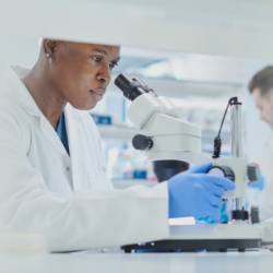 Research Scholars Program