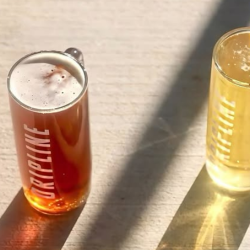 Seasonal and Limited-Edition Brews