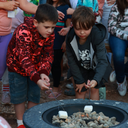 Volunteer Program