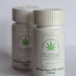 Full Spectrum 750 mg CBD Softgels