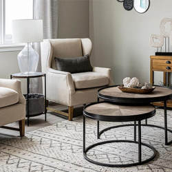 Model & Parade Home Staging