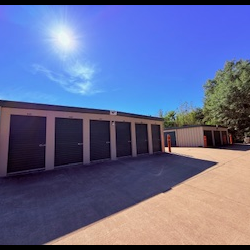 Professional Service