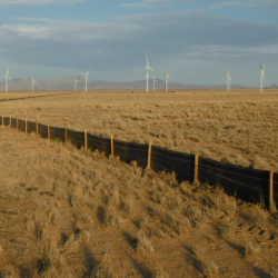 Fencing (Chainlink, Barbed Wire)