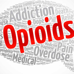 Expanded Opiates/Amphetamines