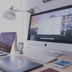 Google Business Management