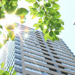 Greensafe Program