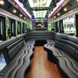 Party Bus Rentals