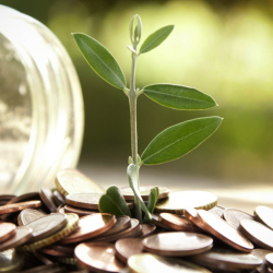 Savings Accounts