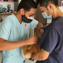 Routine Care and Preventative Medicine