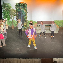 Theatrical Workshops