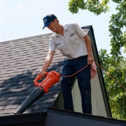 Gutter Cleaning