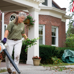 Garden Maintenance