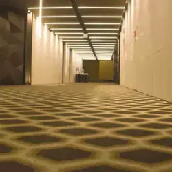 Commercial Carpet Cleaning