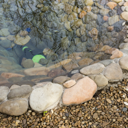 Pond Construction & Maintenance