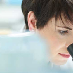 Laboratory Services