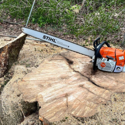 Stihl Chainsaws