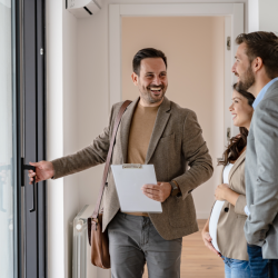 Investment Property Consultation