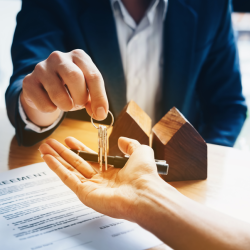 Home Staging and Consultation