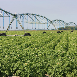 Farming