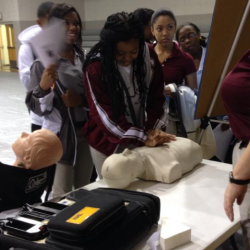 Basic Life Support (BLS)