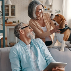 Single Family Office Advisory
