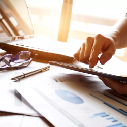 Entrepreneurs & Business Owners