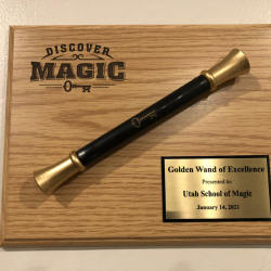 Graduation Wand and Certificate