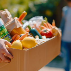 Emergency Food Assistance 