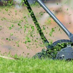 Hedge and Shrub Trimming