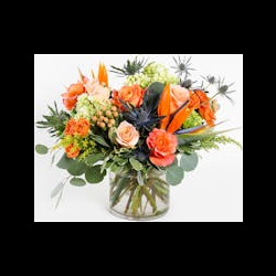 Just Because Flowers
