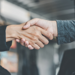 Partnerships with Local Businesses