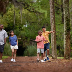 Orlando Nature & Outdoors 