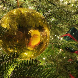 Community Events, Tree Lighting/Parades