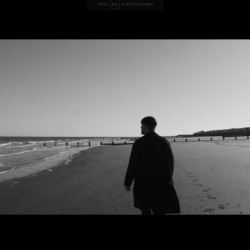 Music and Performance Videos