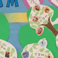 Mandarin Programs