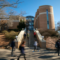 College of Business