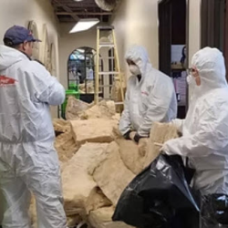 Debris Removal and Cleanup